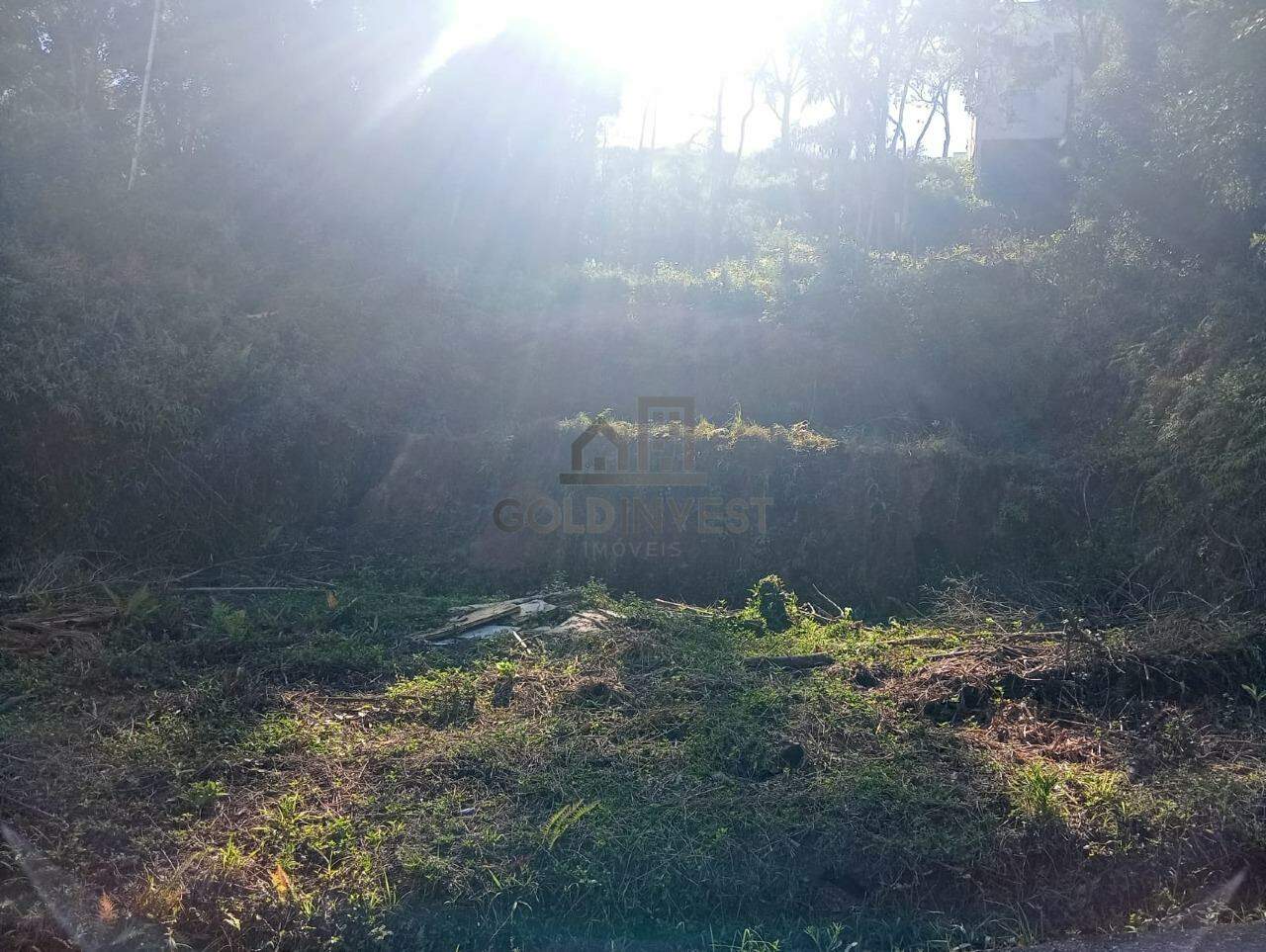 Terreno à venda no Souza Cruz: 