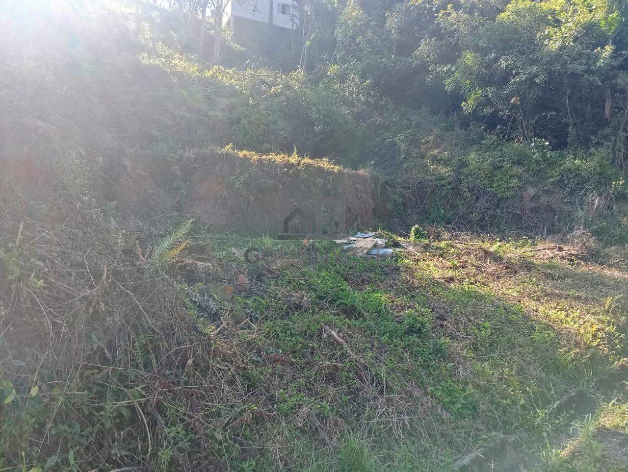 Terreno à venda no Souza Cruz: 