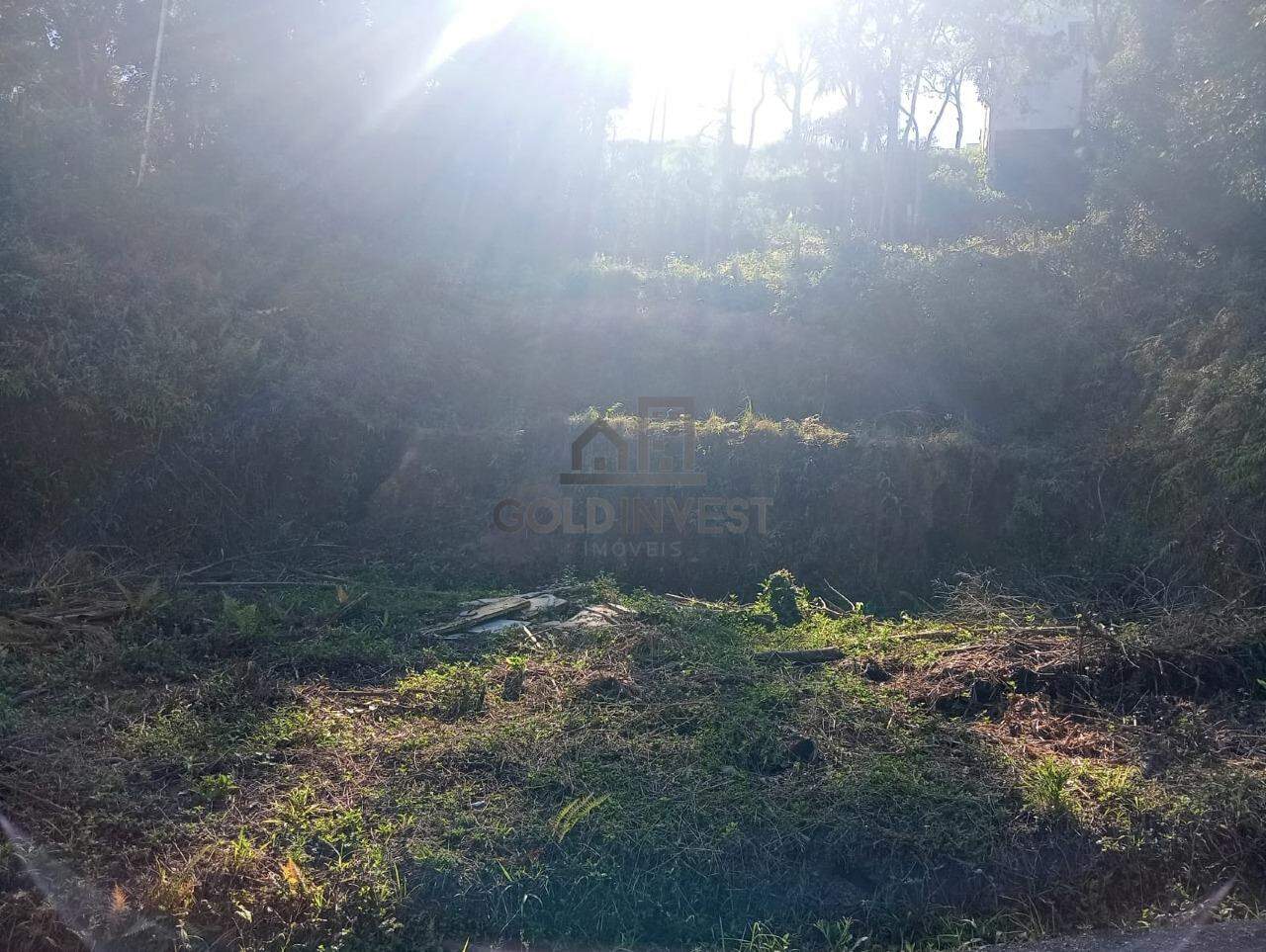 Terreno à venda no Souza Cruz: 