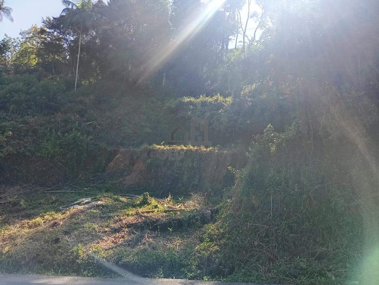 Terreno à venda no Souza Cruz: 