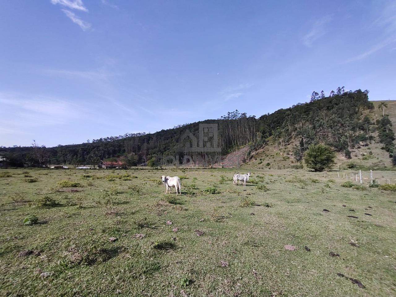 Terreno à venda no TIJIPIO: 