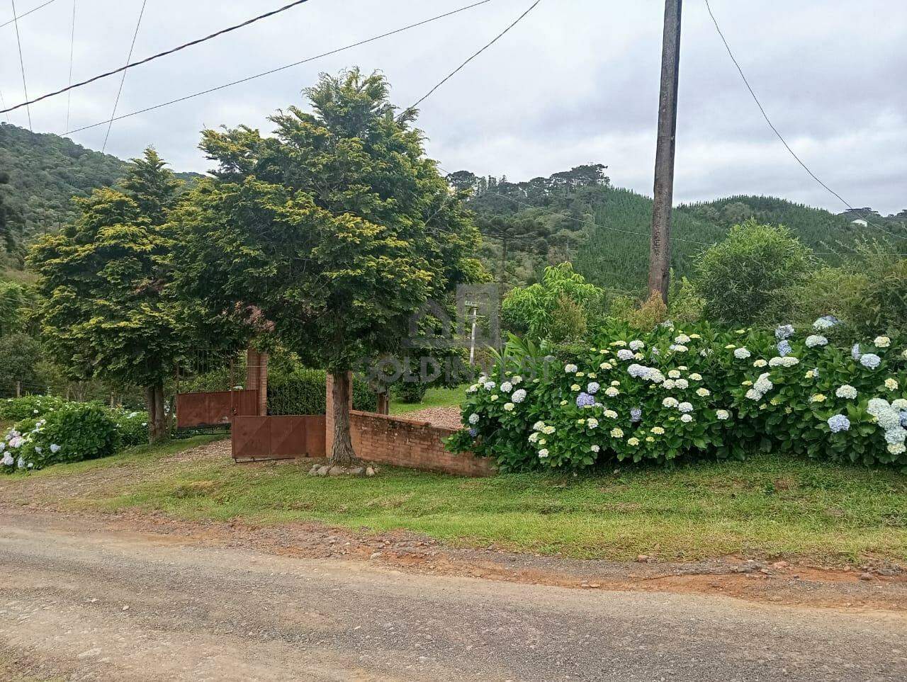 Chácara / Sítio à venda no Pinhal: 