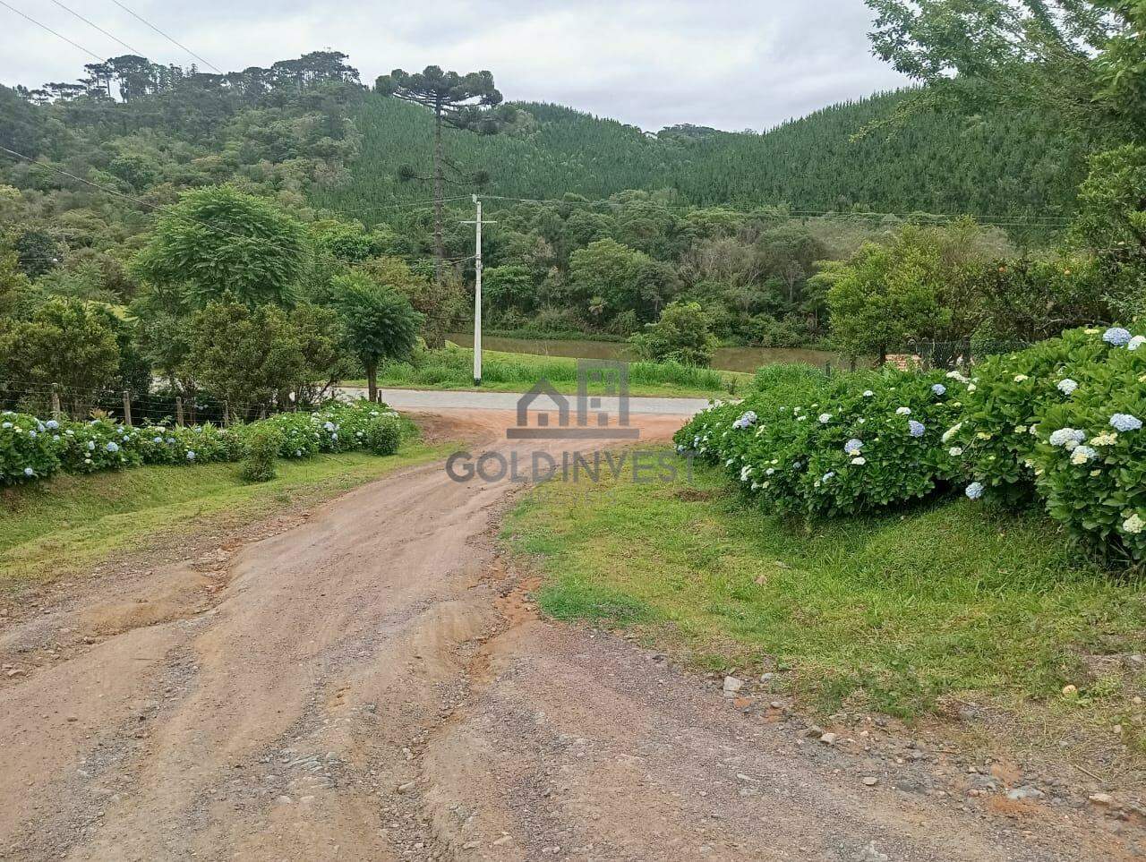 Chácara / Sítio à venda no Pinhal: 