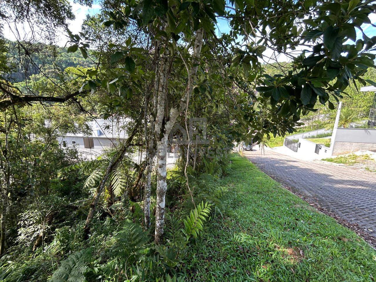 Terreno à venda no Souza Cruz: 