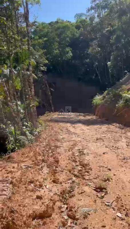 Terreno à venda no Pomerânia: 