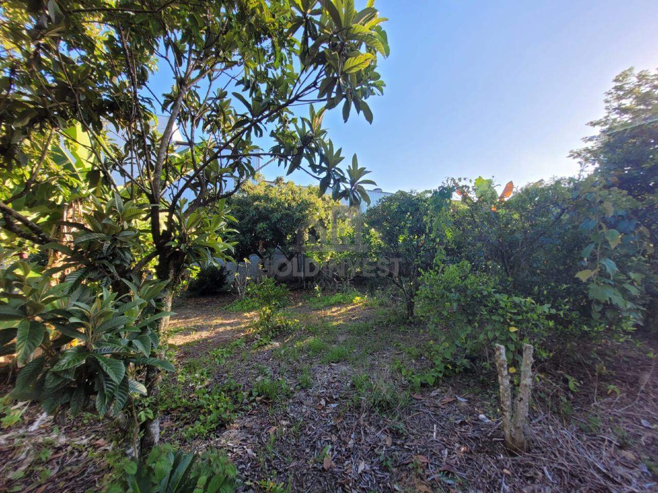 Terreno à venda no Rio Branco: 
