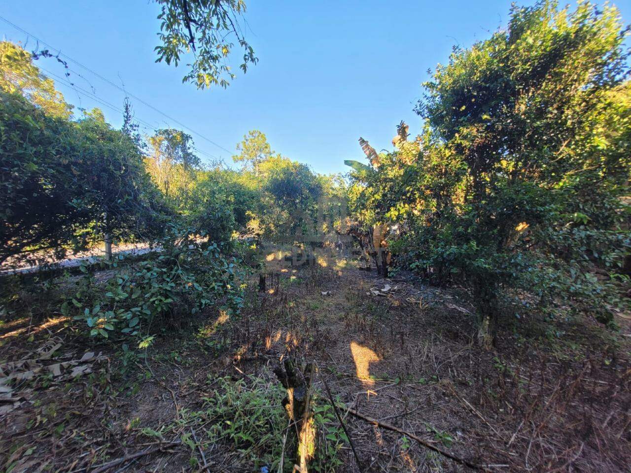Terreno à venda no Rio Branco: 