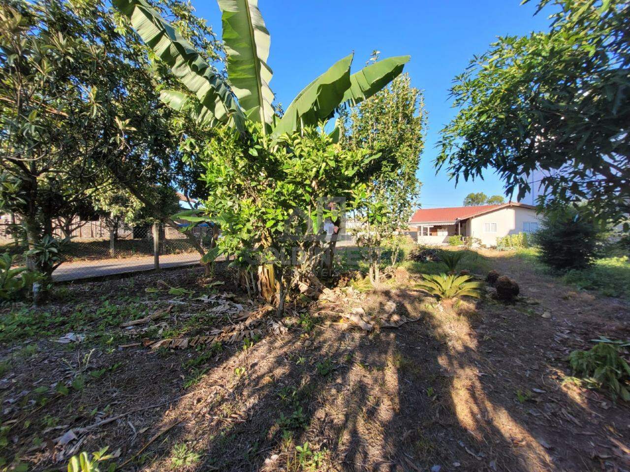 Terreno à venda no Rio Branco: 