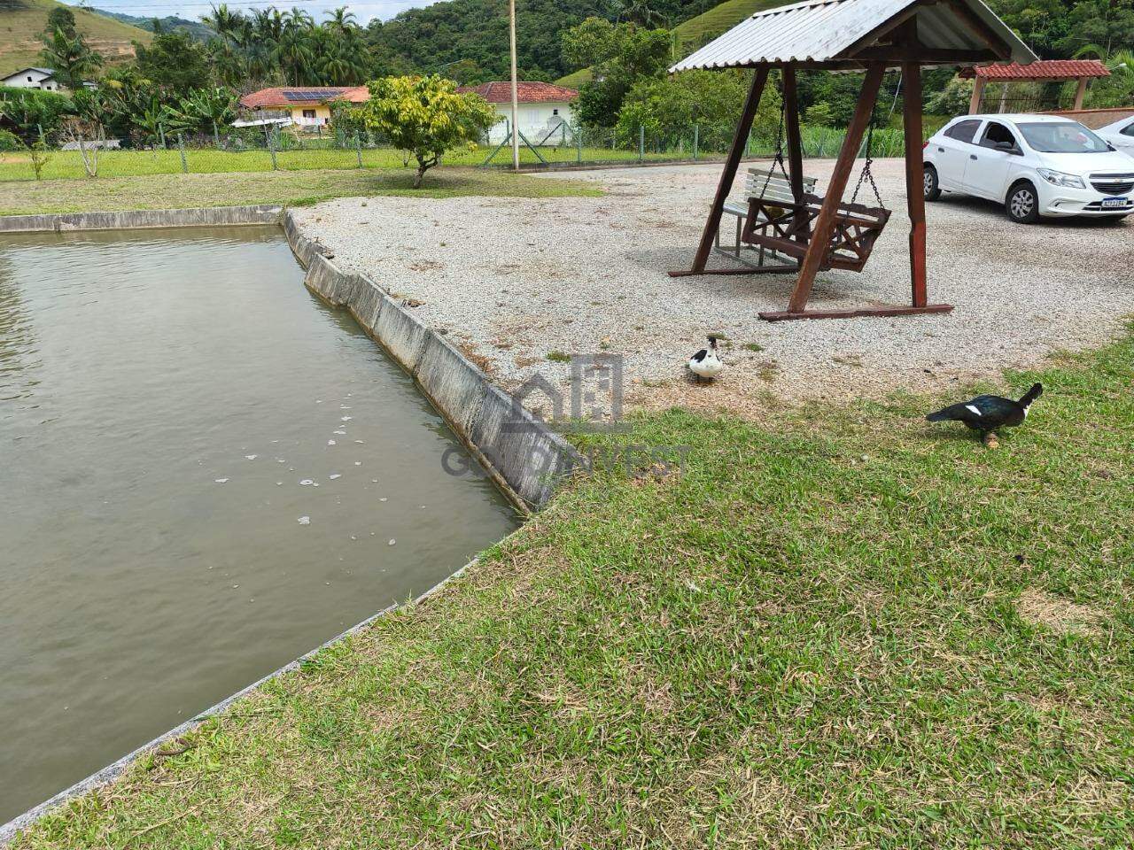 Sítio à venda no Limeira Alta: 