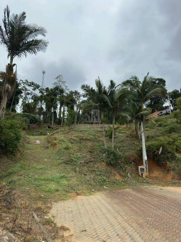 Terreno à venda no Limeira Baixa: 