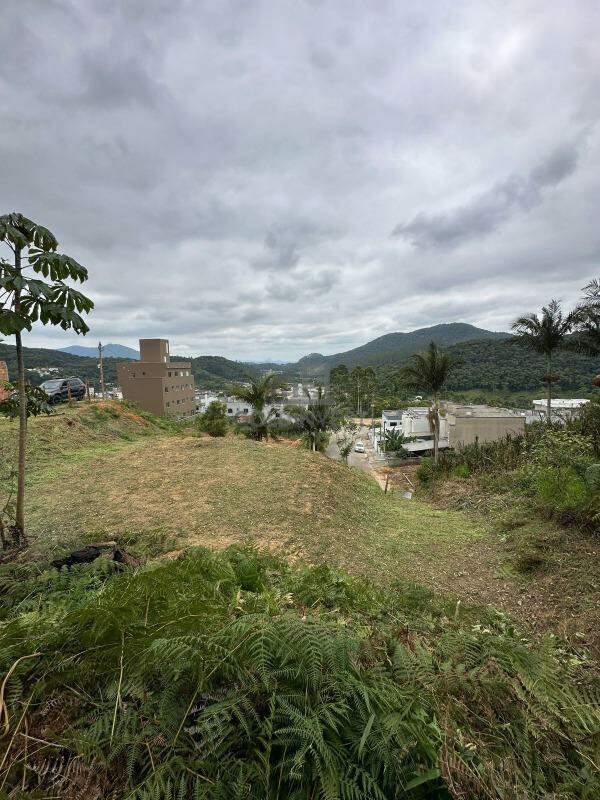 Terreno à venda no Limeira Baixa: 
