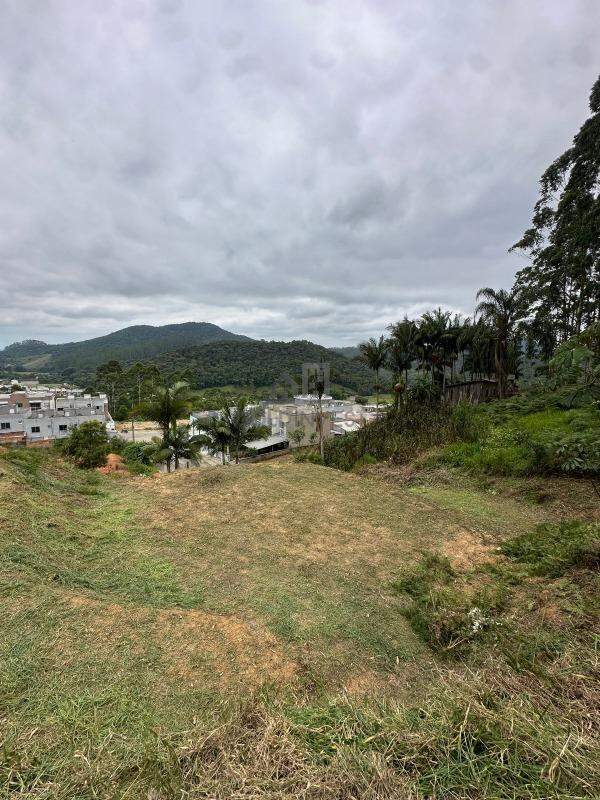 Terreno à venda no Limeira Baixa: 