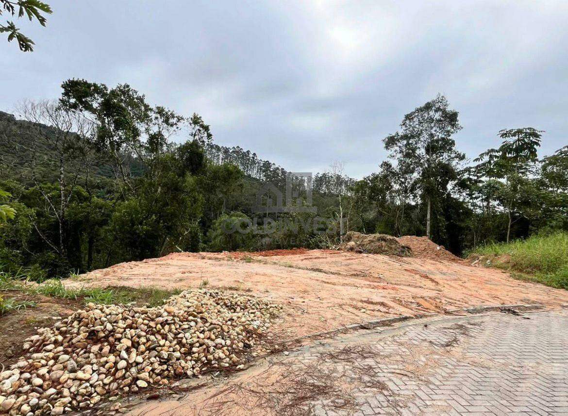Terreno à venda no Volta Grande: 