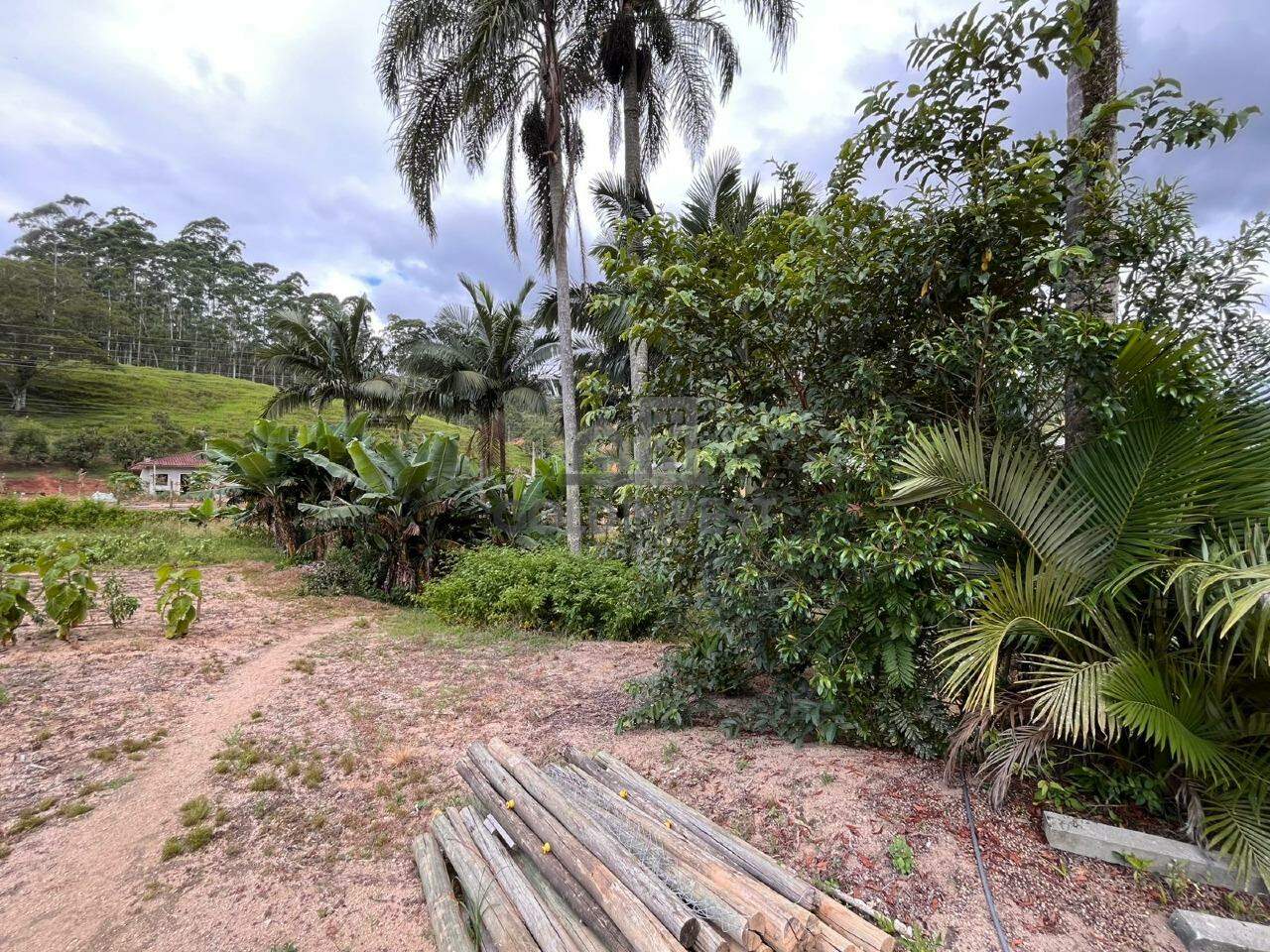 Chácara / Sítio à venda no São Caetano: 