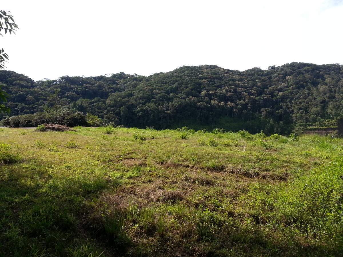 Terreno à venda no Centro II: 