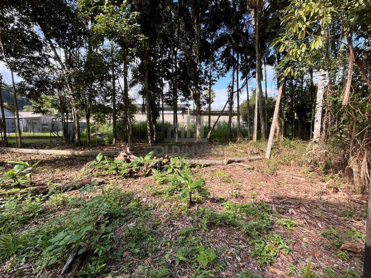 Terreno à venda no São Pedro: 