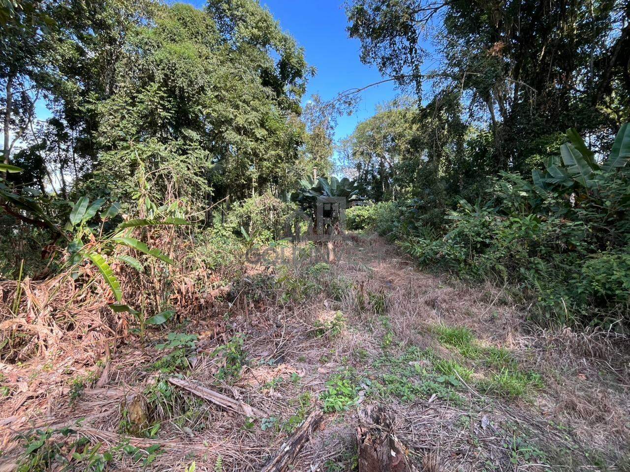 Terreno à venda no São Pedro: 