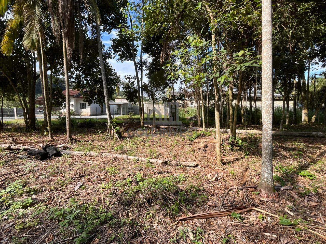 Terreno à venda no São Pedro: 