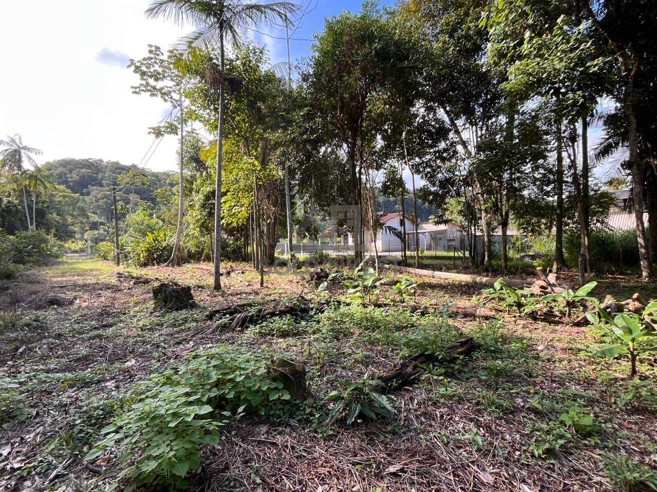 Terreno à venda no São Pedro: 
