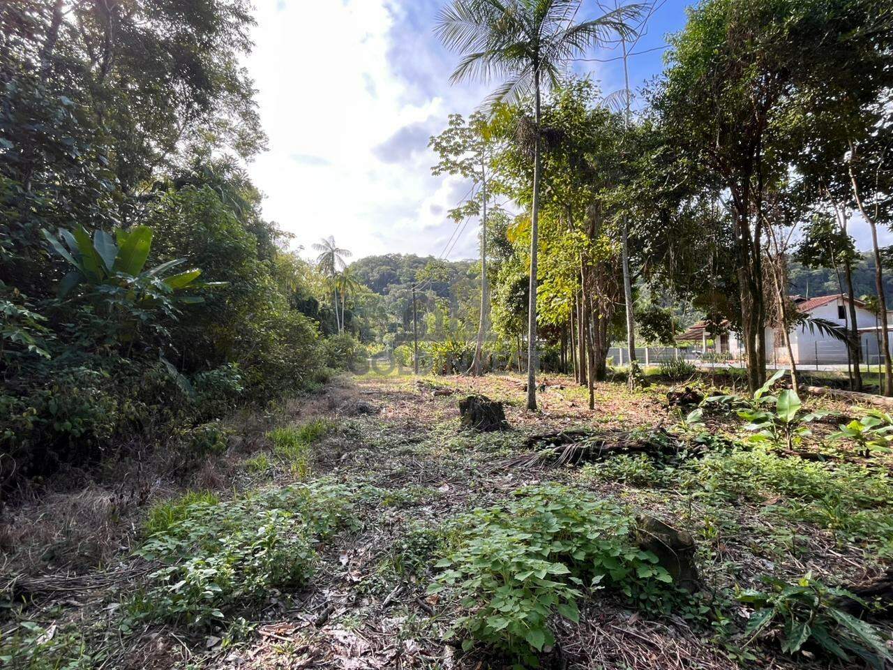 Terreno à venda no São Pedro: 