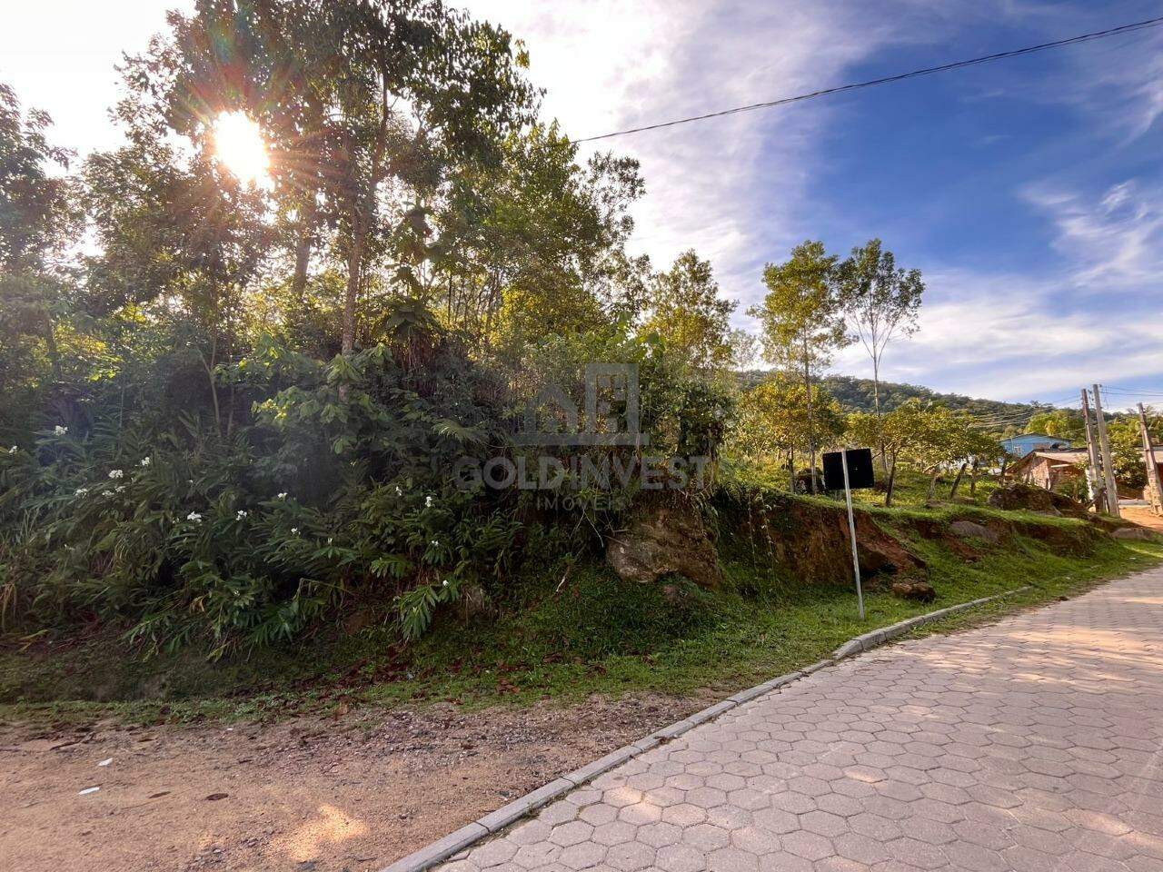 Chácara / Sítio à venda no Pomerânia: 