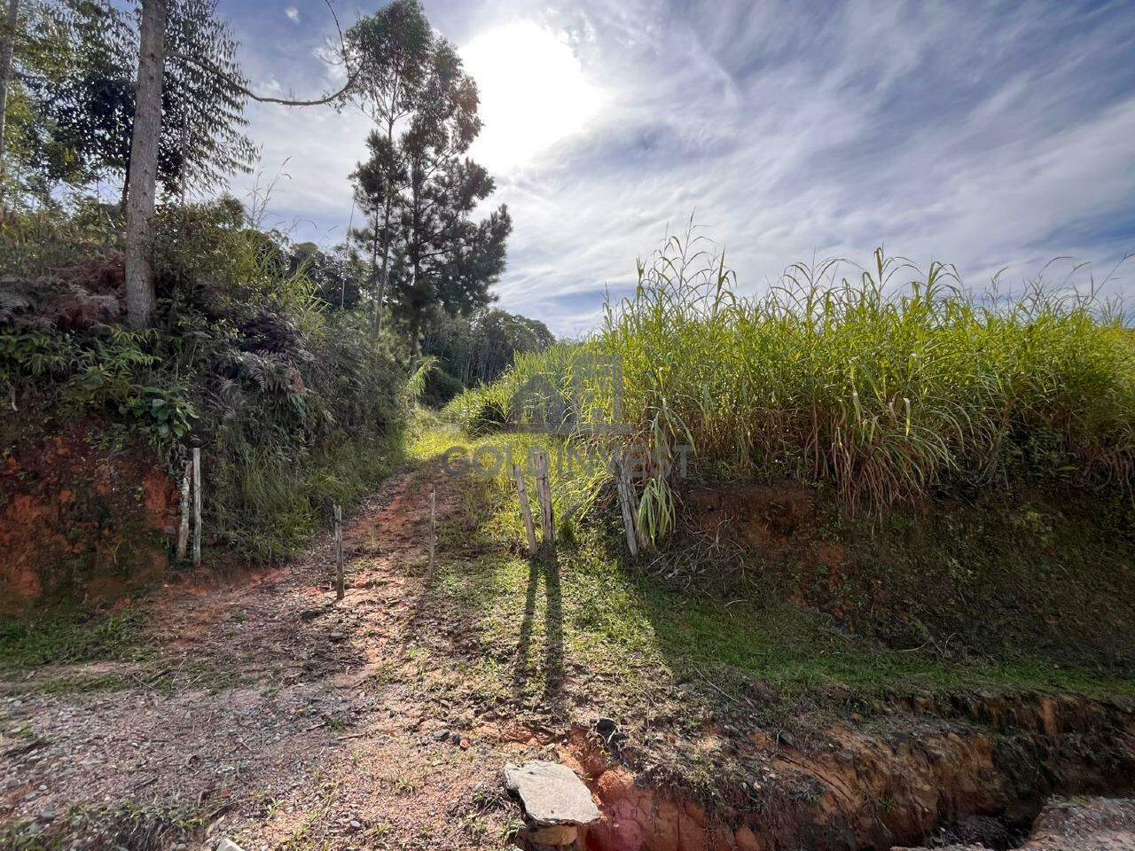 Terreno à venda no Pomerânia: 