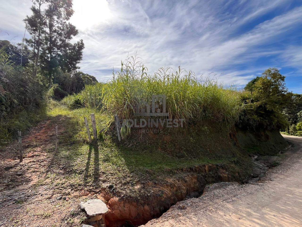 Terreno à venda no Pomerânia: 