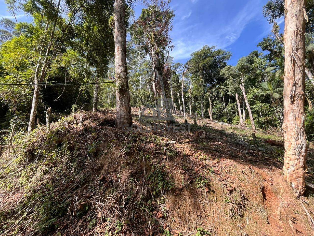 Terreno à venda no São Pedro: 