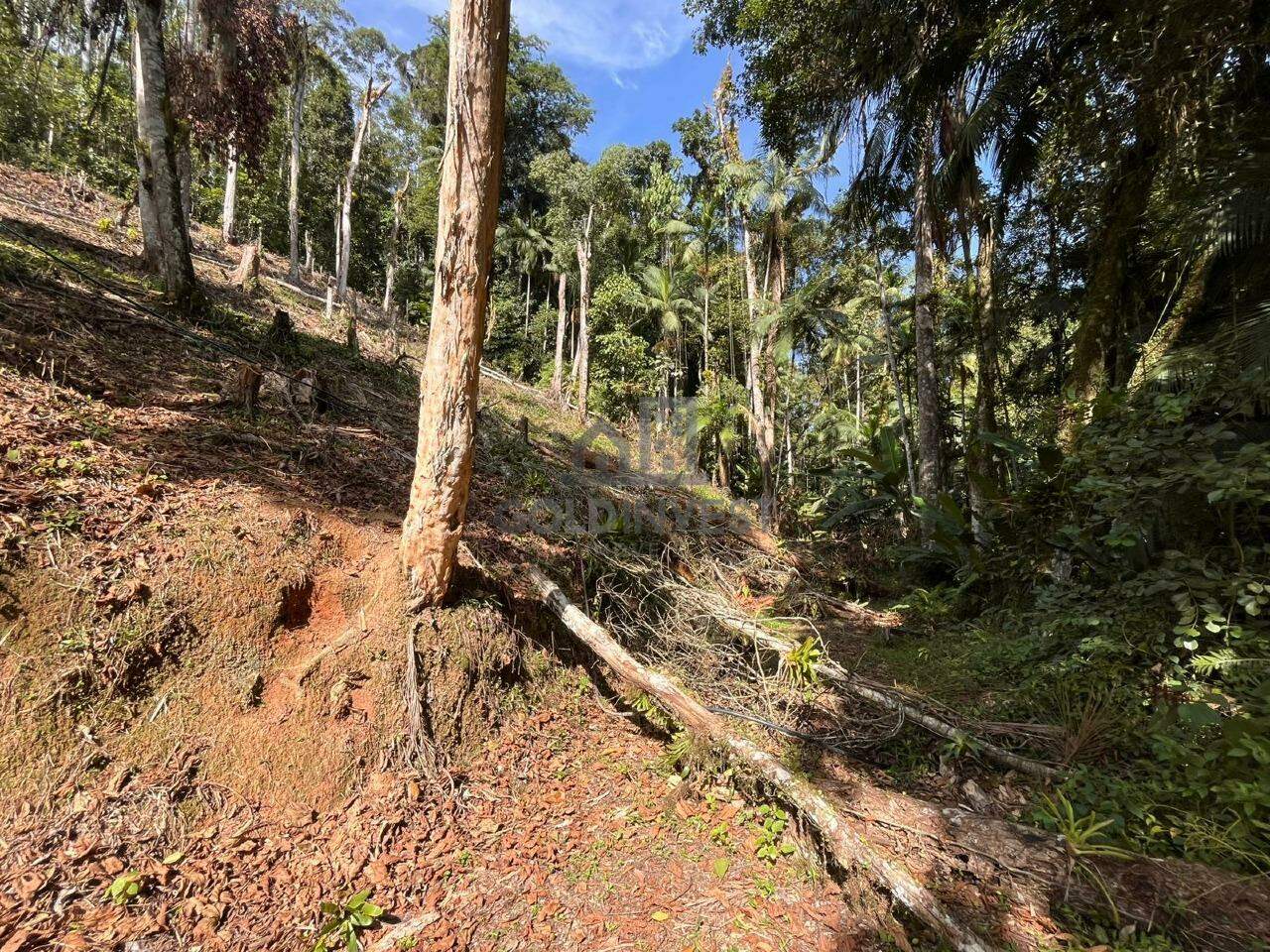 Terreno à venda no São Pedro: 