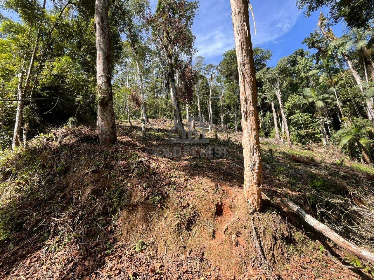 Terreno à venda no São Pedro: 