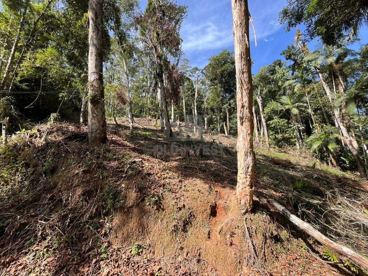 Terreno à venda no São Pedro: 