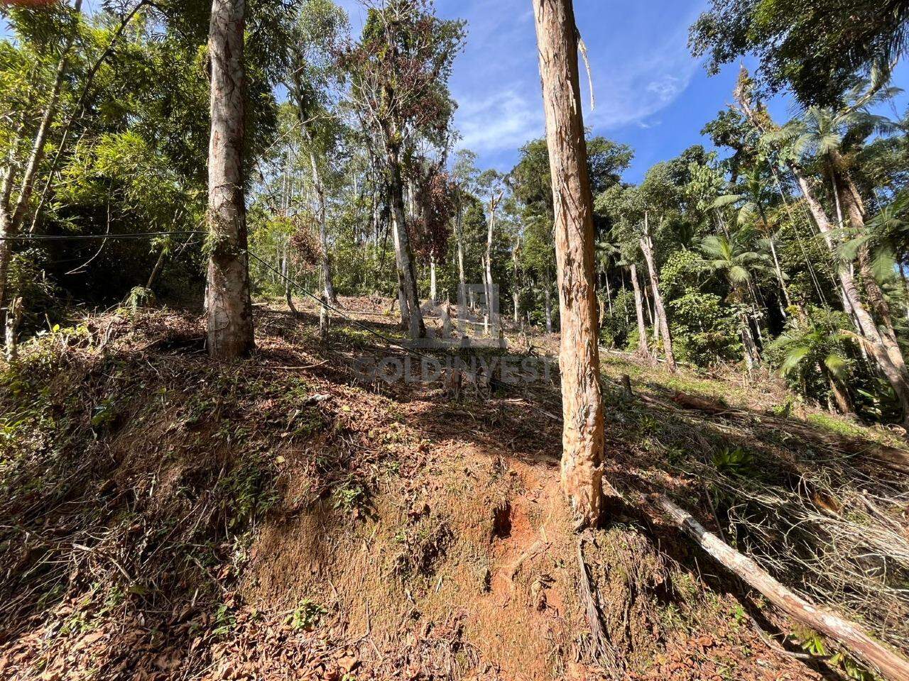 Terreno à venda no São Pedro: 