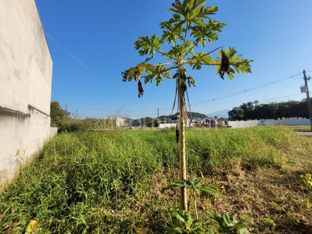 Lote/Terreno de 301m² no bairro CENTRO, em Guabiruba | Eu Corretor