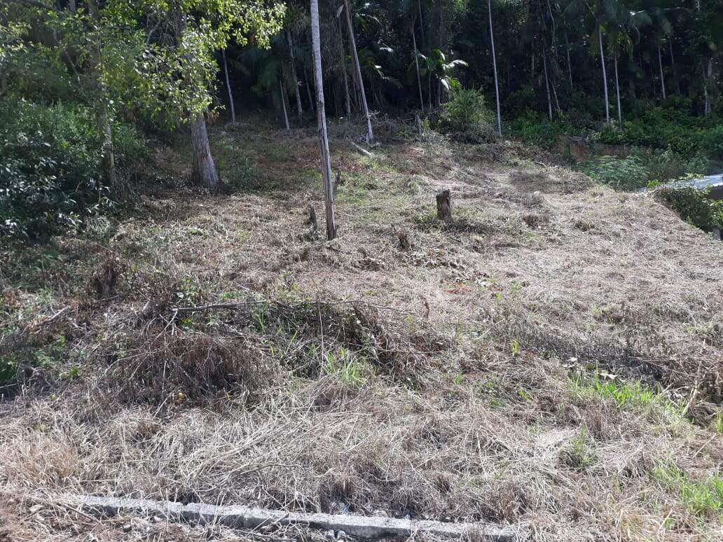 Lote/Terreno de 338m² no bairro Guarani, em Brusque | Eu Corretor