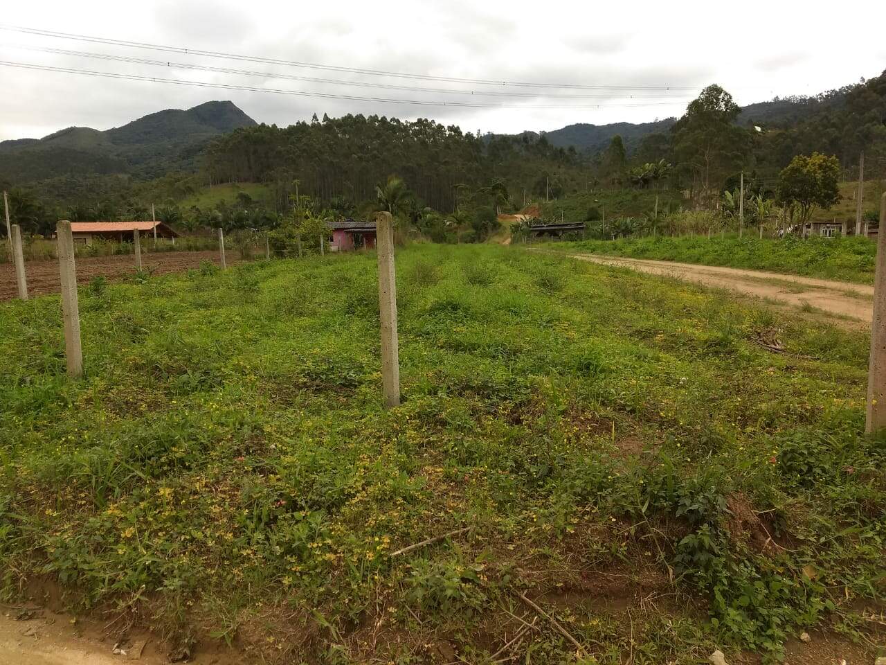 Lote/Terreno de 2250m² no bairro Não Informado, em Canelinha | Eu Corretor