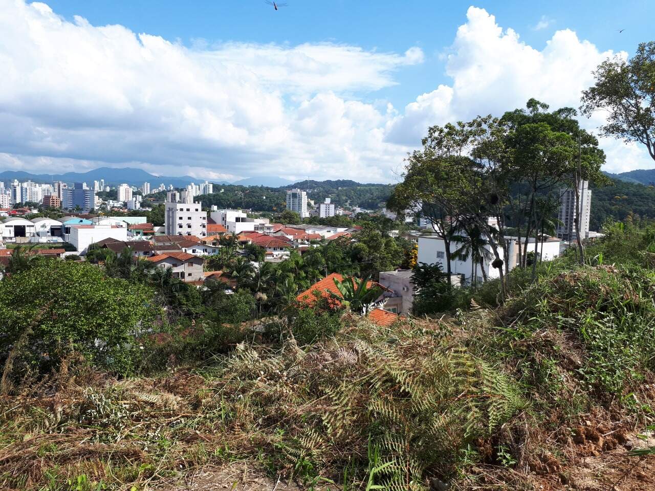 Lote/Terreno de 494m² no bairro Steffen, em Brusque | Eu Corretor