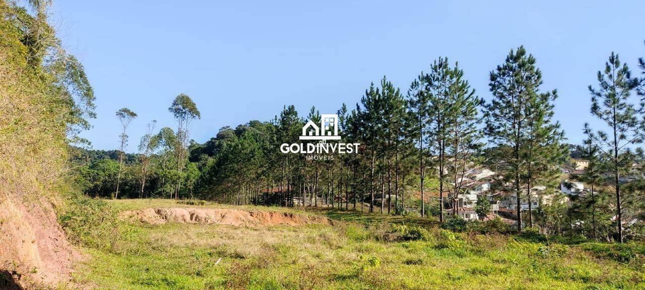 Lote/Terreno de 3500m² no bairro Primeiro de Maio, em Brusque | Eu Corretor
