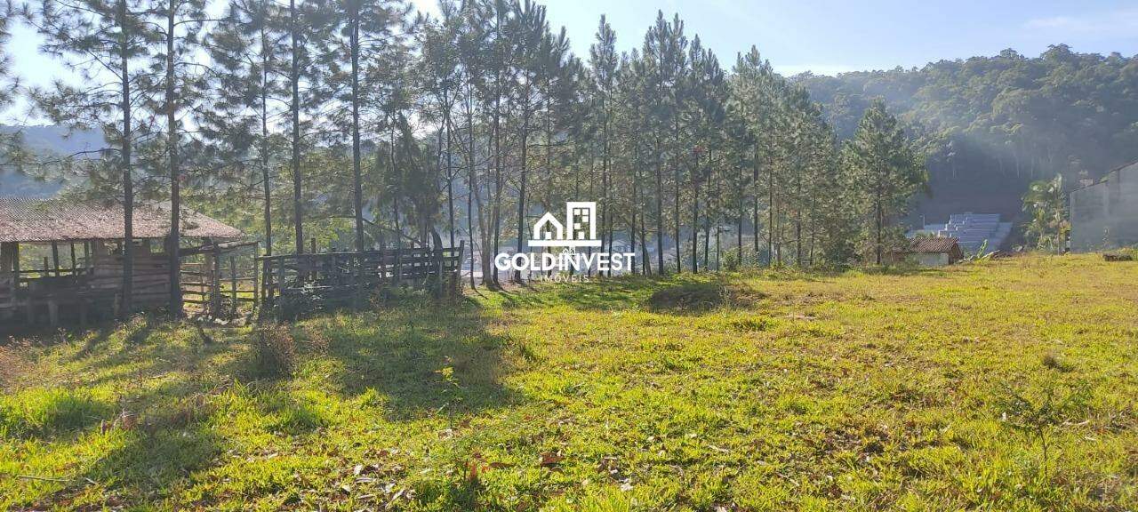 Lote/Terreno de 3500m² no bairro Primeiro de Maio, em Brusque | Eu Corretor