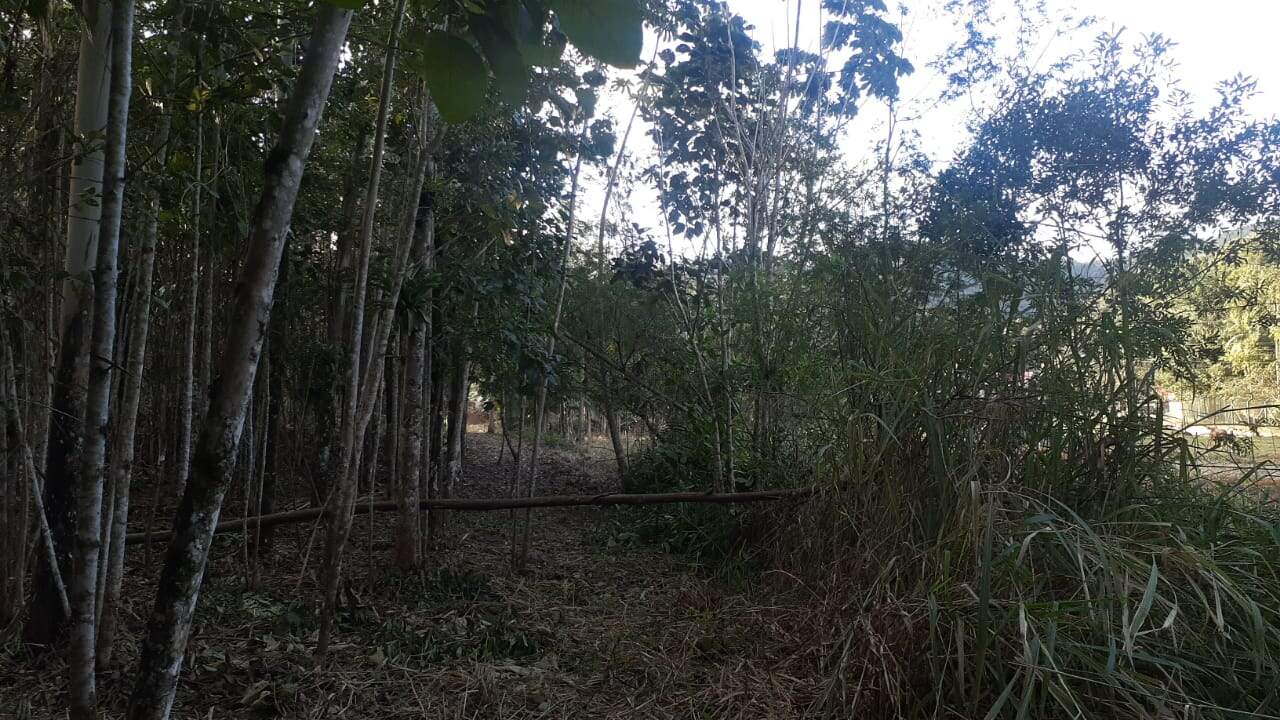 Lote/Terreno de 16200m² no bairro Não Informado, em Guabiruba | Eu Corretor