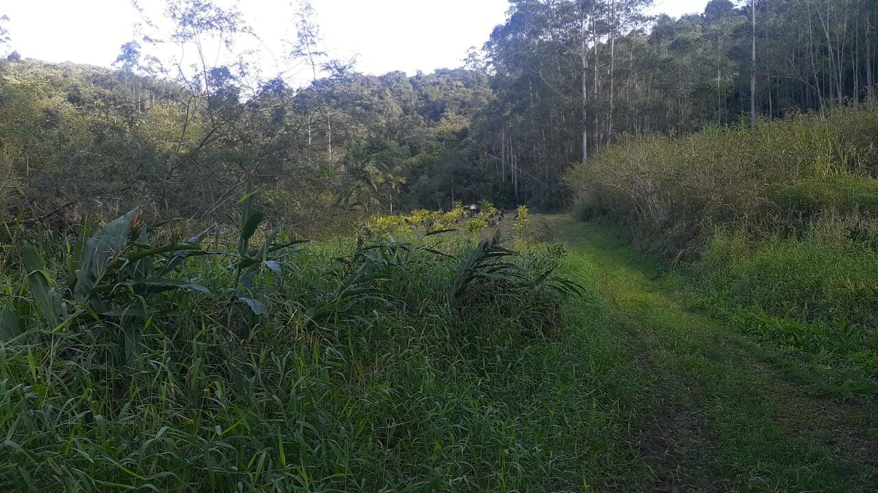 Lote/Terreno de 16200m² no bairro Não Informado, em Guabiruba | Eu Corretor