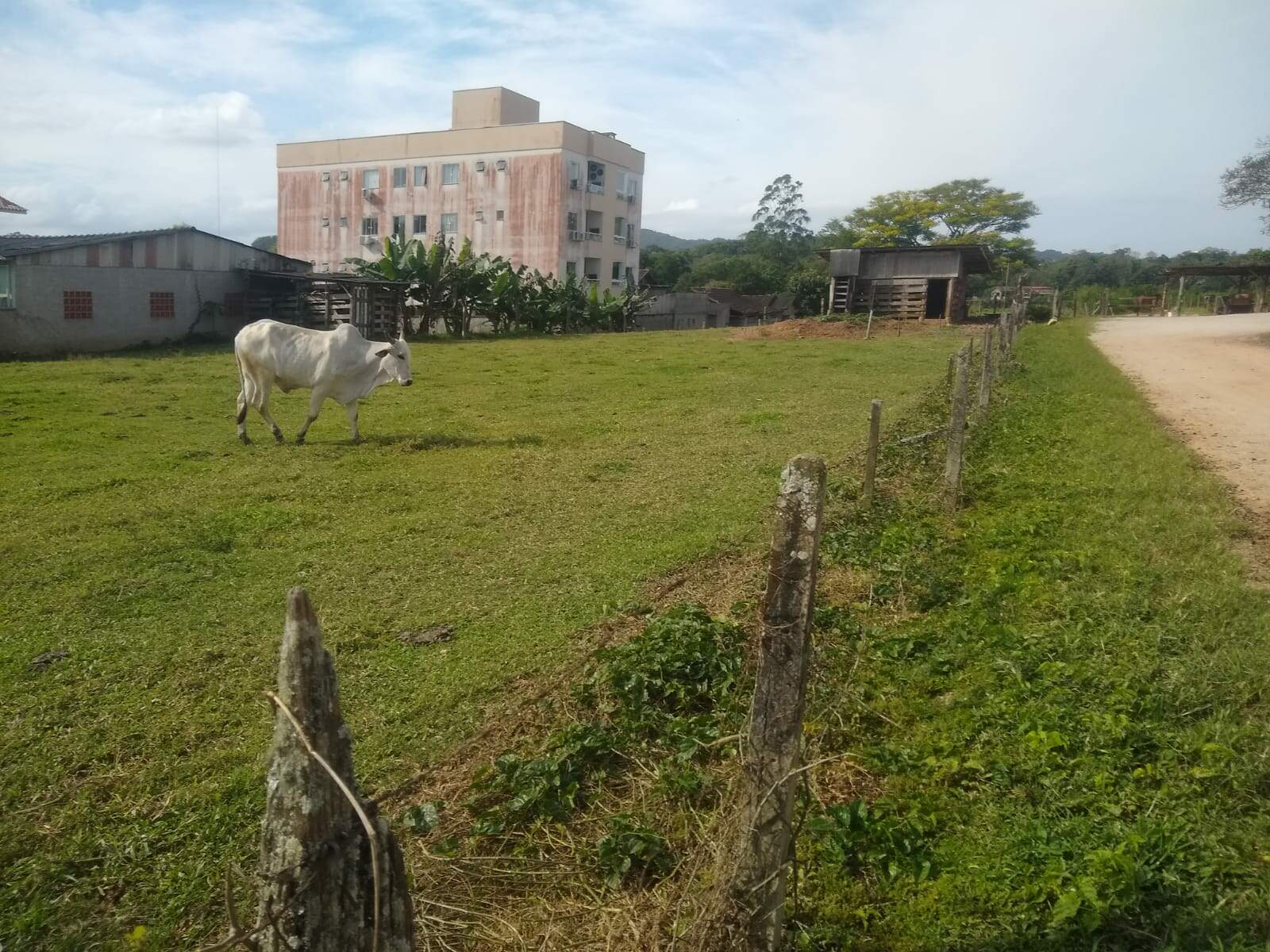 Lote/Terreno de 784m² no bairro Rio Branco, em Brusque | Eu Corretor