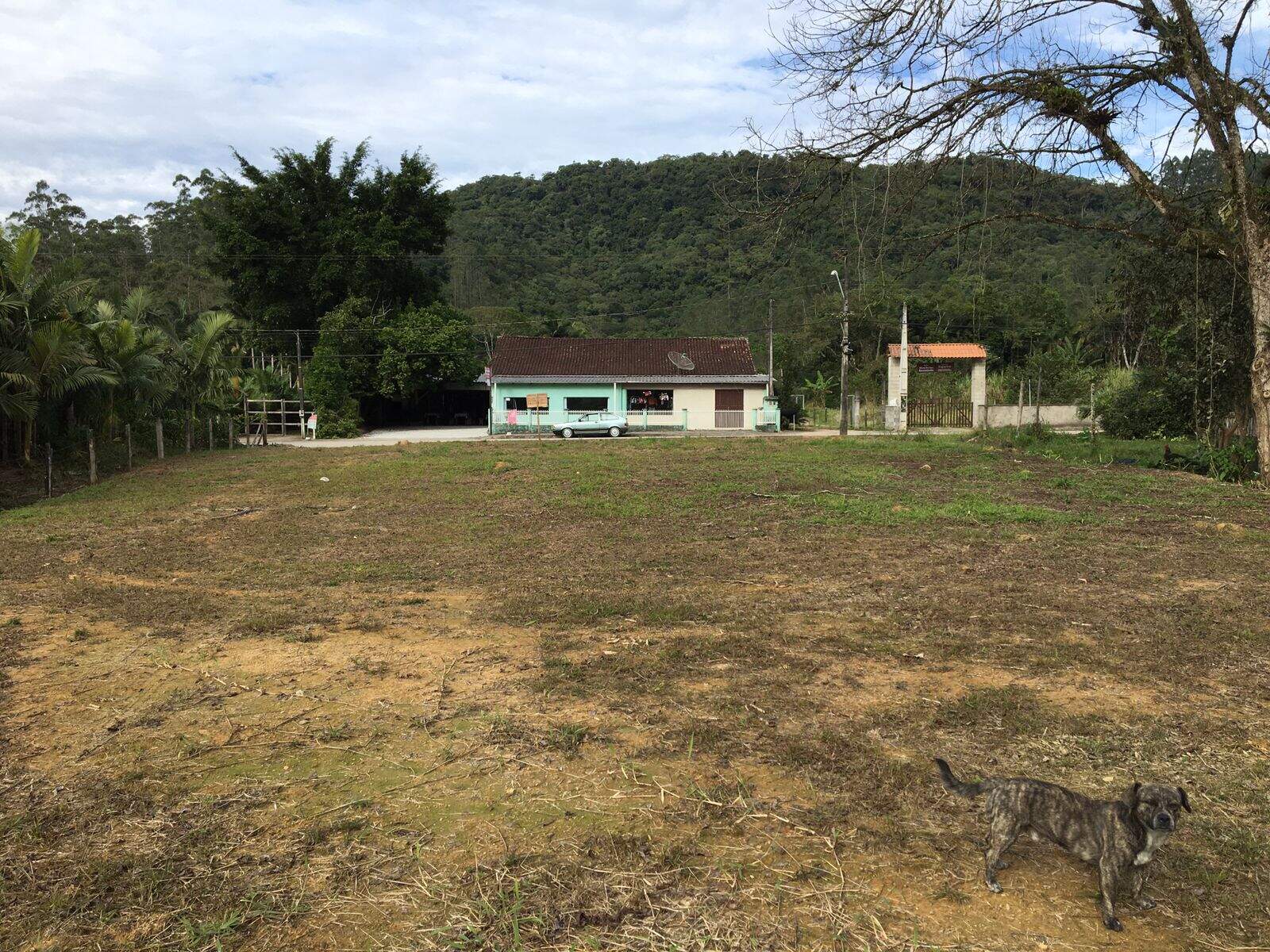 Lote/Terreno de 2719m² no bairro Planície Alta, em Guabiruba | Eu Corretor