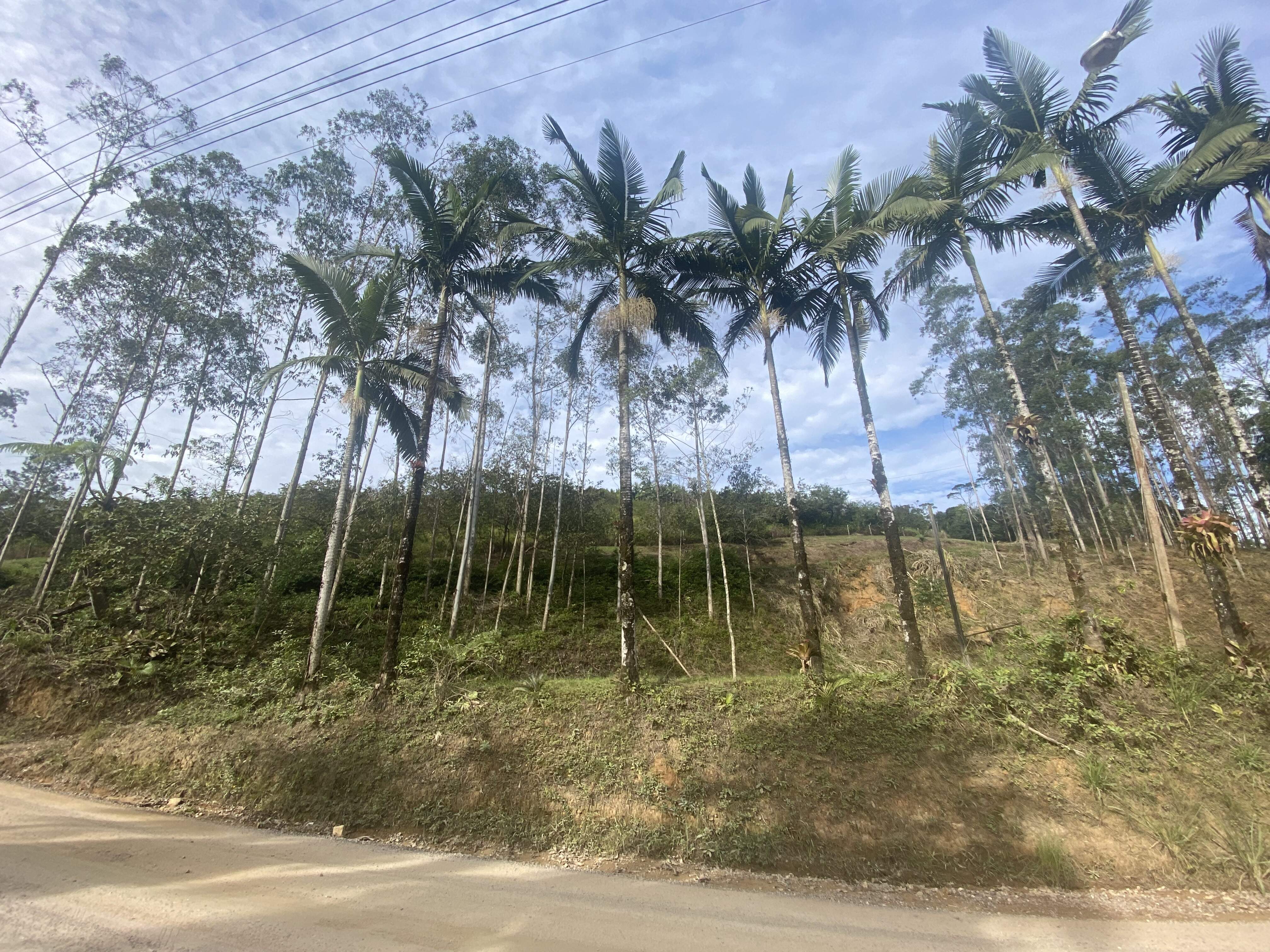 Lote/Terreno de 14577m² no bairro Dom Joaquim, em Brusque | Eu Corretor