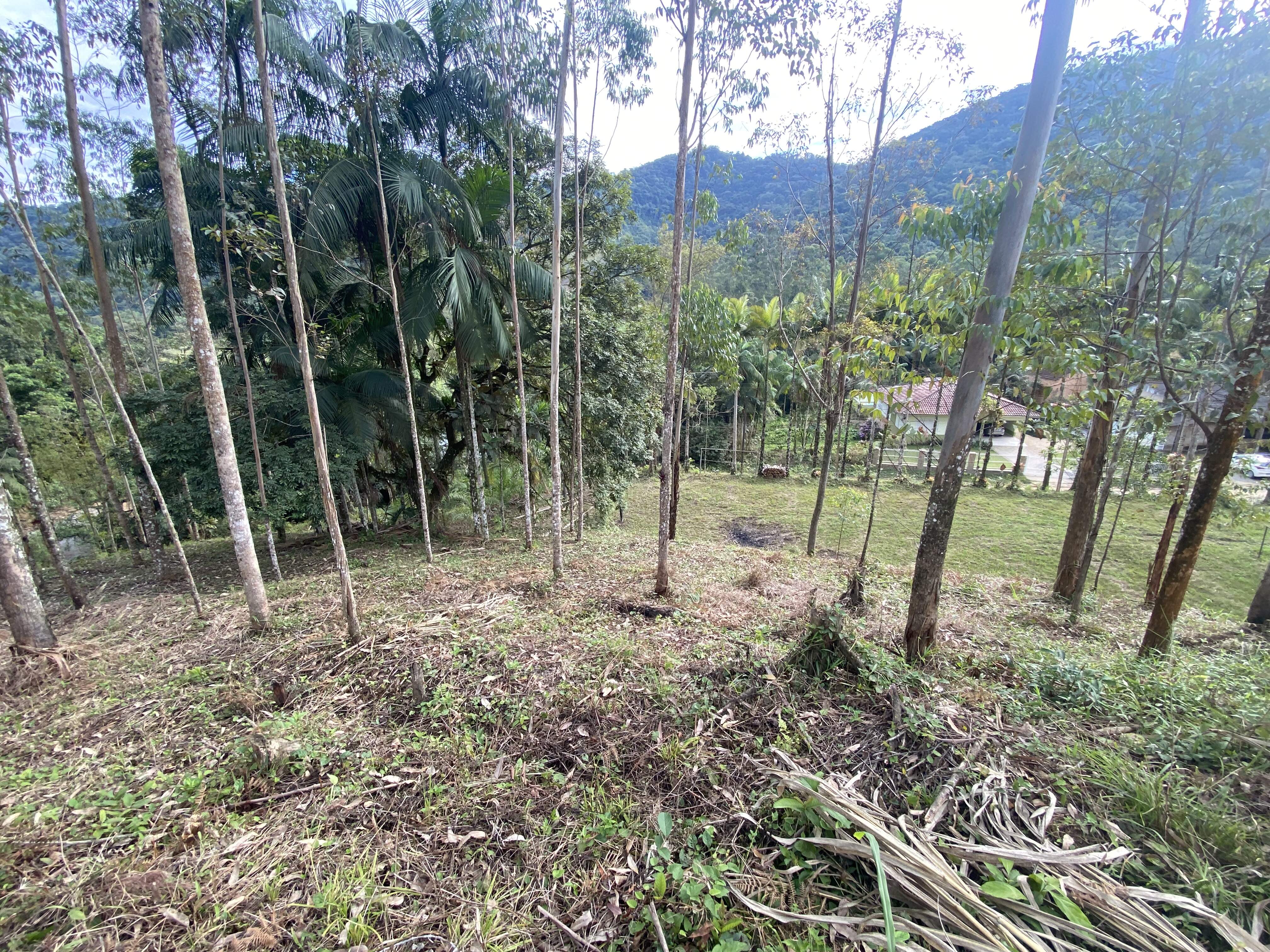Lote/Terreno de 14577m² no bairro Dom Joaquim, em Brusque | Eu Corretor