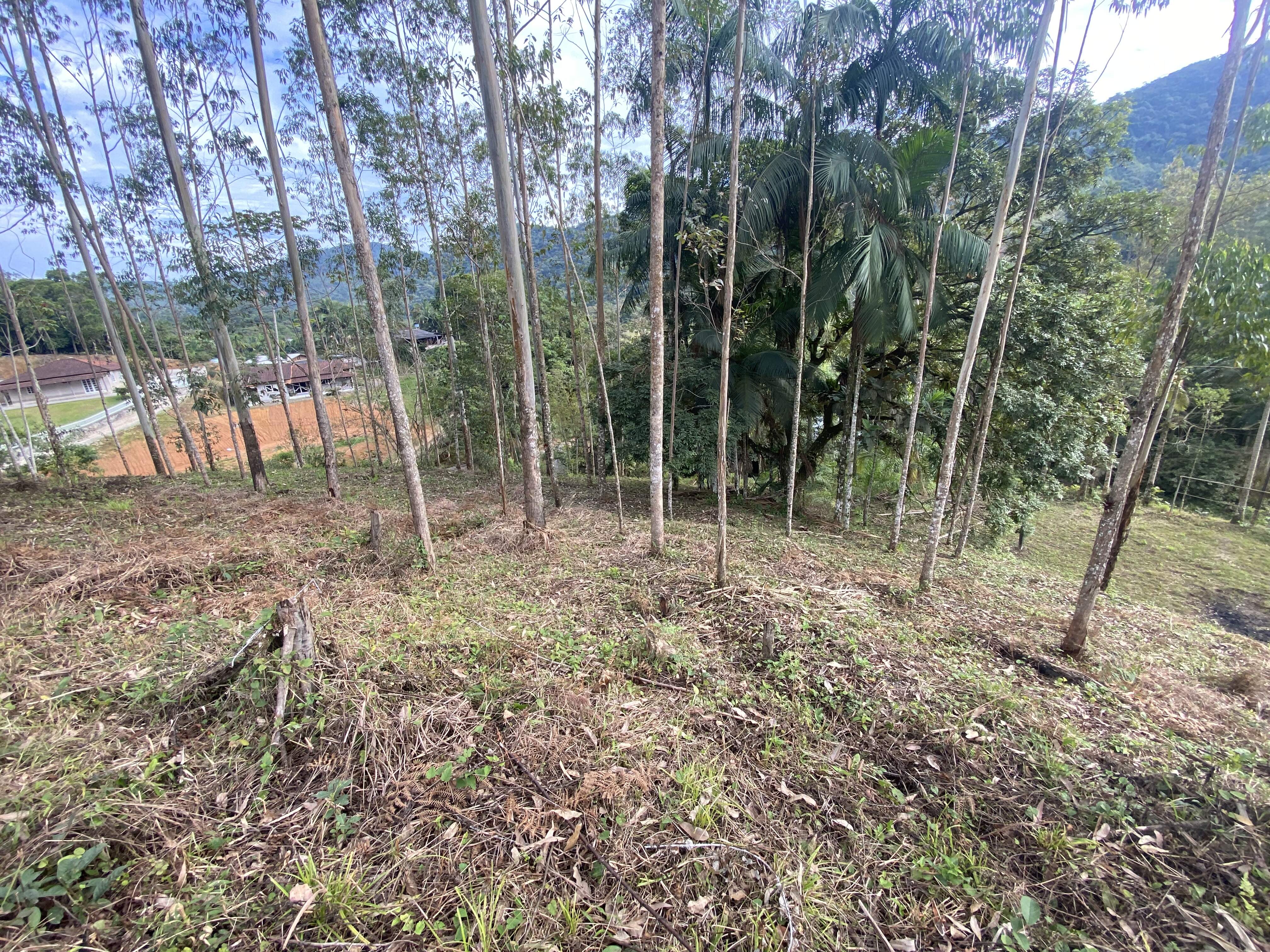 Lote/Terreno de 14577m² no bairro Dom Joaquim, em Brusque | Eu Corretor
