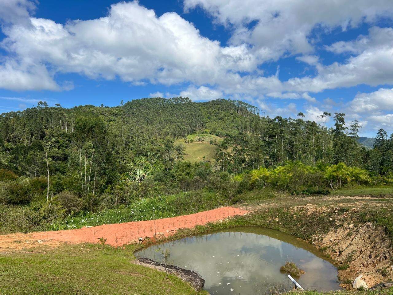 Terreno à venda no Lageado Alto: 