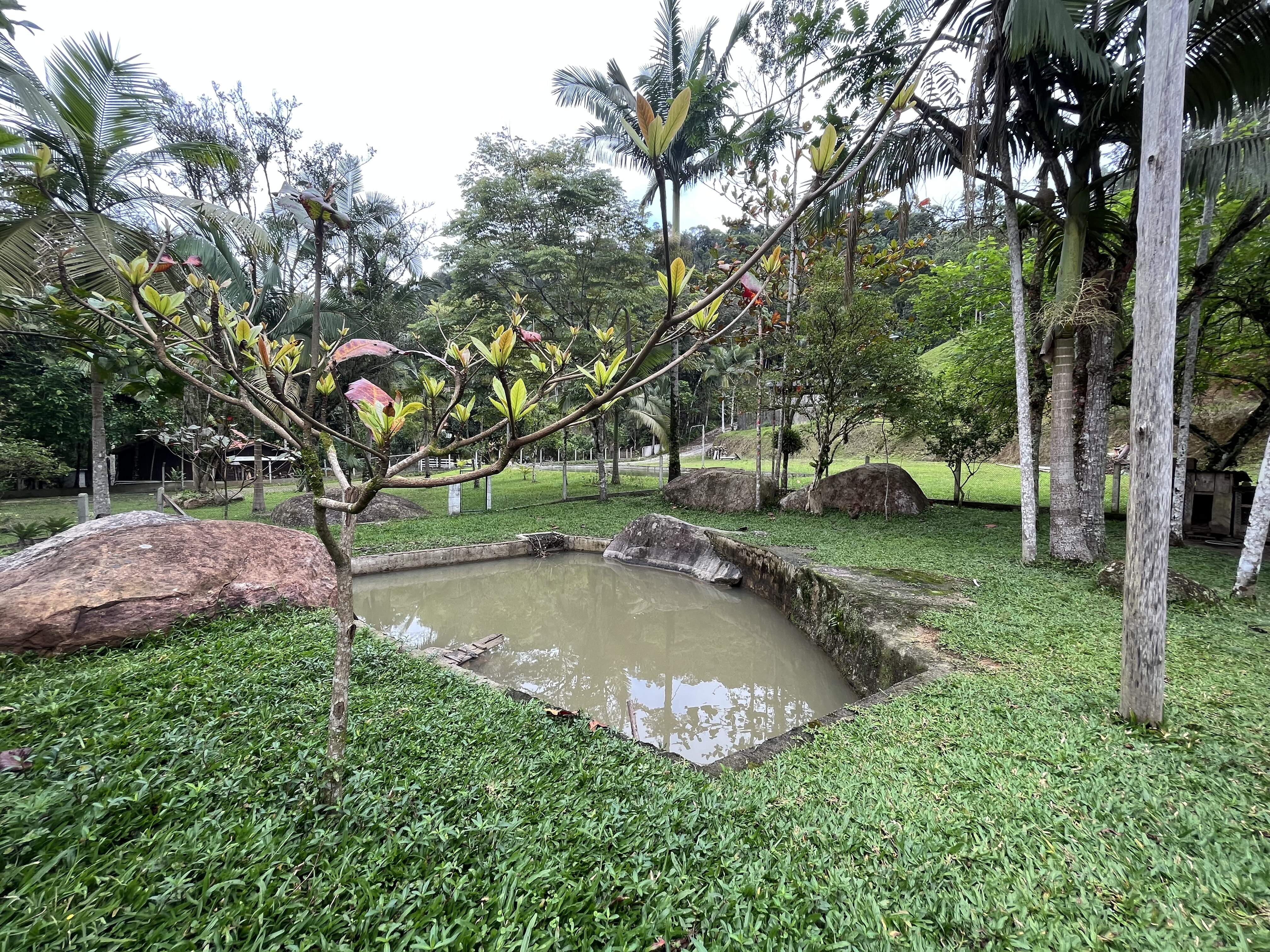 Chácara de 16000m² no bairro São Pedro, em Guabiruba | Eu Corretor