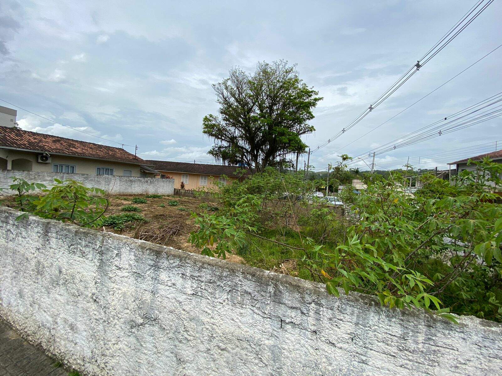 Lote/Terreno de 300m² no bairro Rio Branco, em Brusque | Eu Corretor