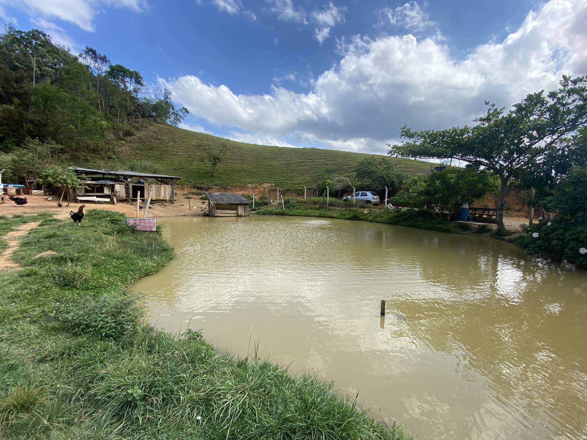 Chácara de 3 quartos, 9000m² no bairro Limeira, em Brusque | Eu Corretor