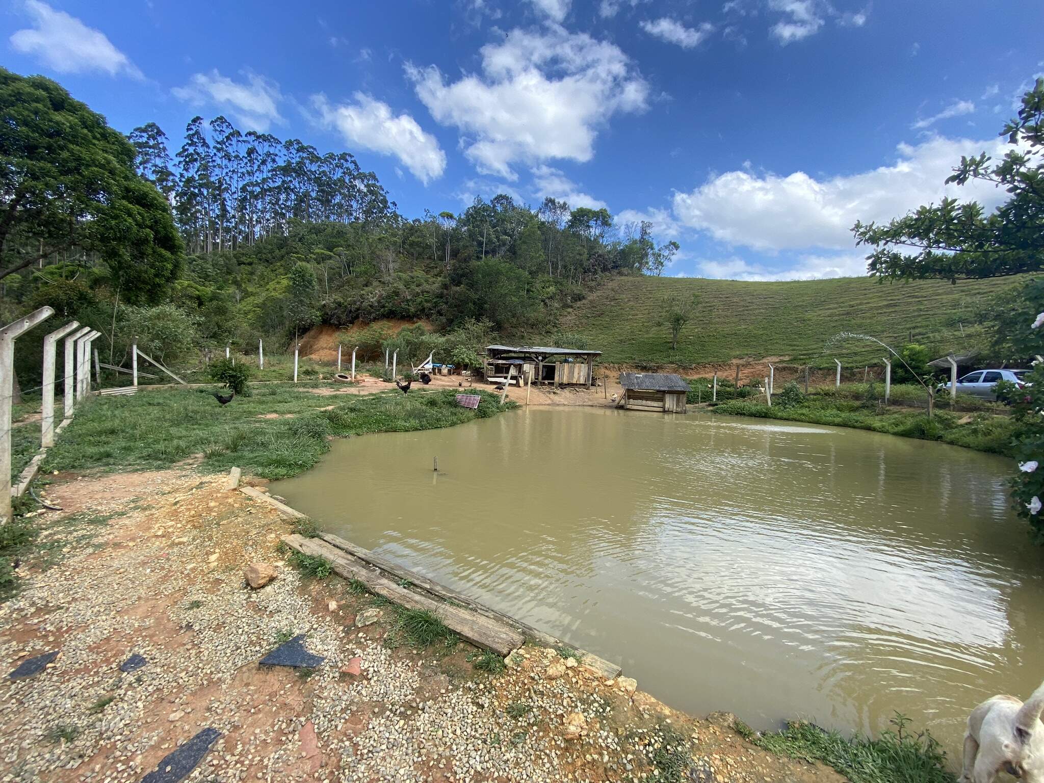 Chácara de 3 quartos, 9000m² no bairro Limeira, em Brusque | Eu Corretor